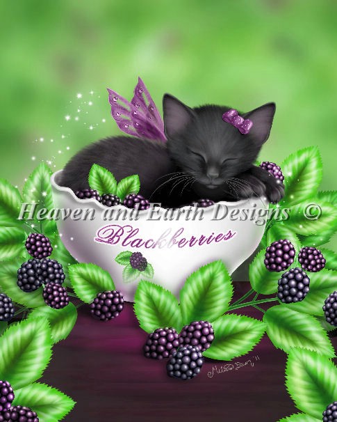 Blackberry Kitten - Click Image to Close